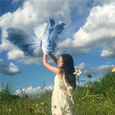 红楼梦第六部